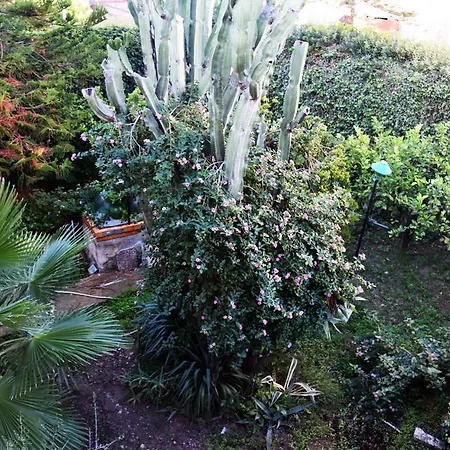 Artroom Garden * Noto